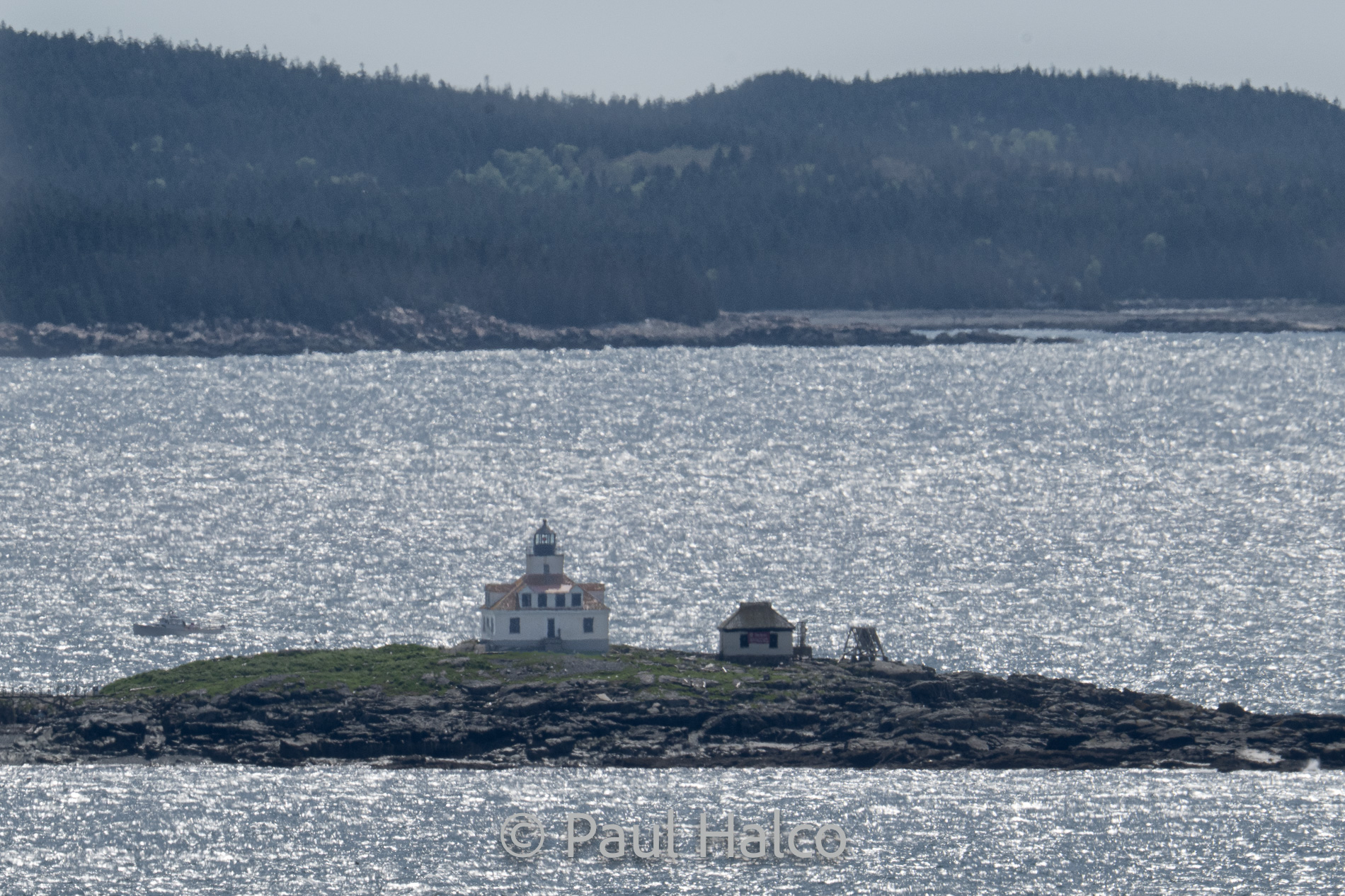 Paul Halco-Acadia NP-2